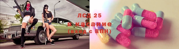 кокс Аркадак